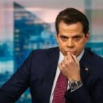Scaramucci says crypto is in a bear market